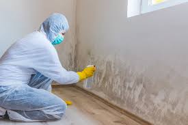 Aransas Pass, TX Mold Removal Services Company