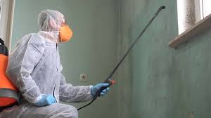 Why You Should Choose Our Mold Remediation Services in Aransas Pass, TX